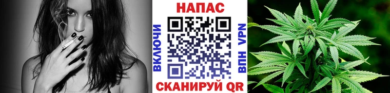 Магазин наркотиков Купино Гашиш 
